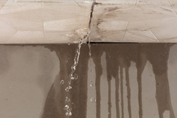 Professional Water Damage Repair technician working in Perry, FL